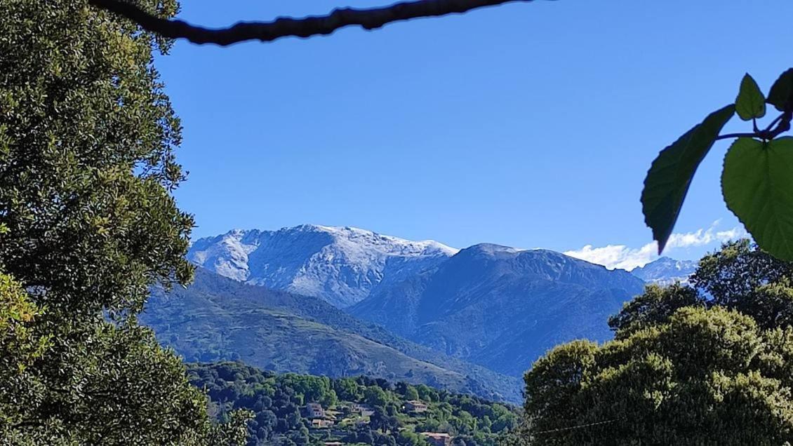 Mare E Monti Chez Thomas Et Magali Panzió Vico Kültér fotó
