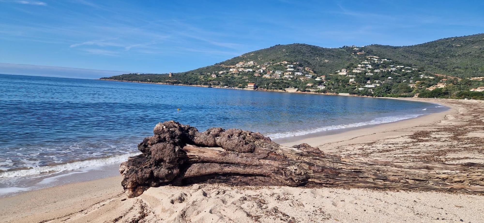 Mare E Monti Chez Thomas Et Magali Panzió Vico Kültér fotó